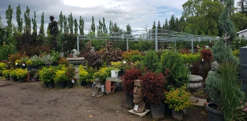 Trees & Shrubs
